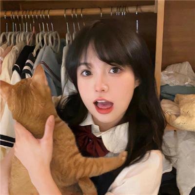 猫咪马汀
